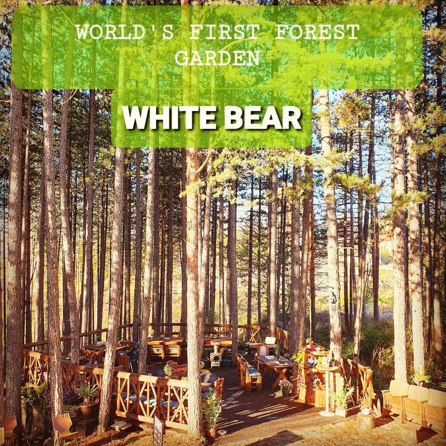 Apartment White Bear Zlatibor Exteriér fotografie